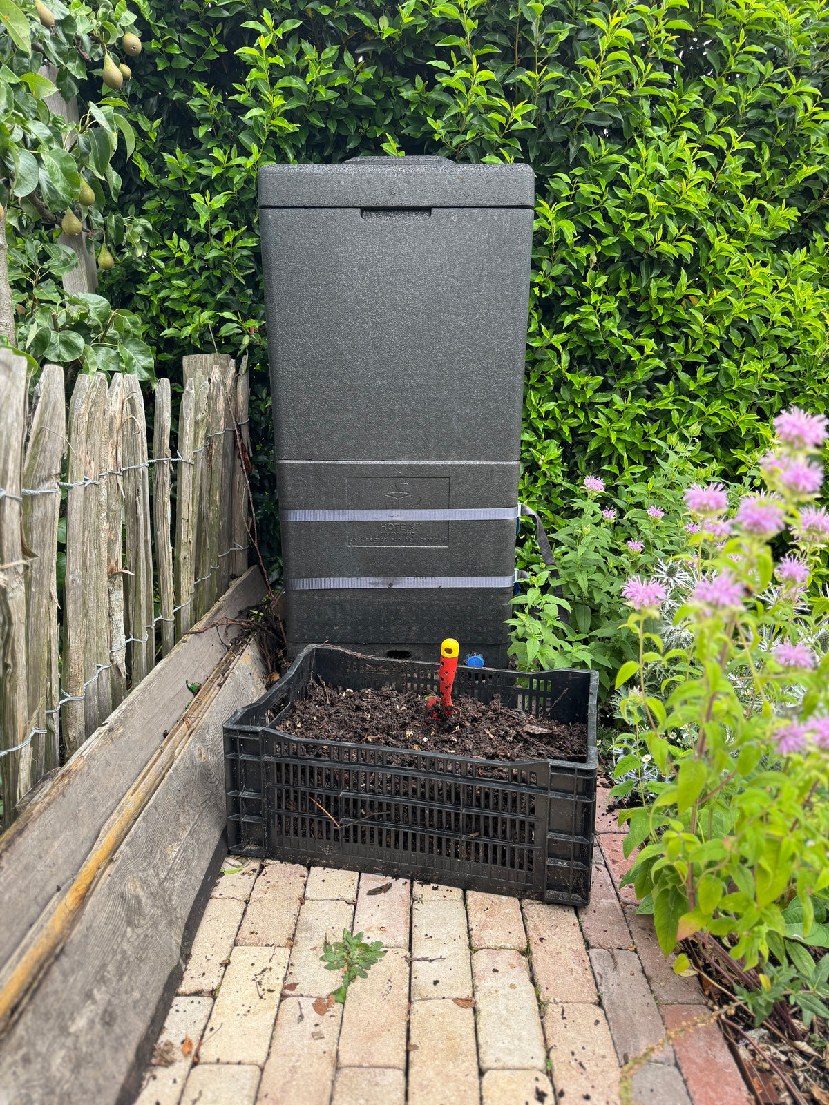 Loestuin HOTBIN compost oogst